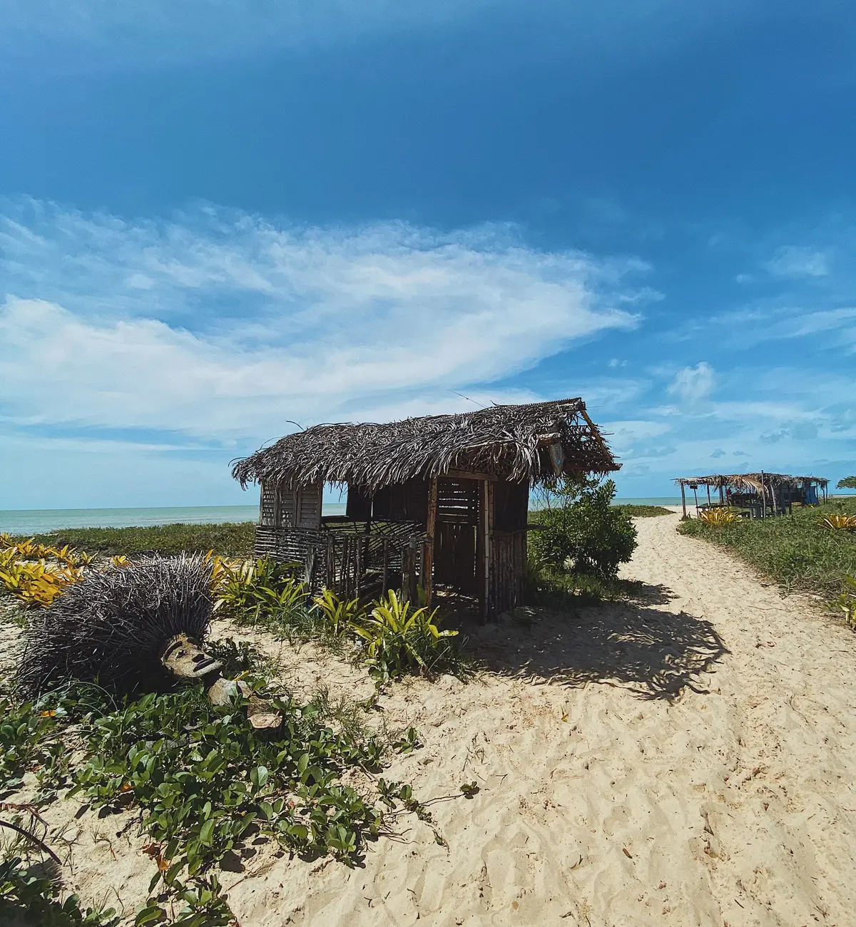 Cabana pequena de palha numa trilha de areia com vegetação de restinga